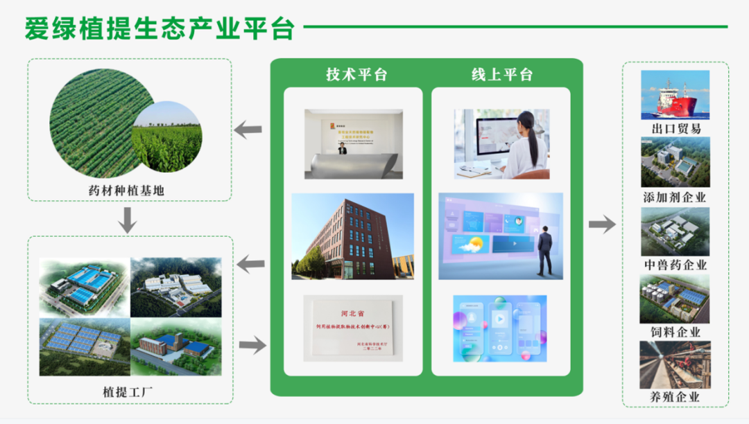 海洋之神·hy590(中国)最新官方网站